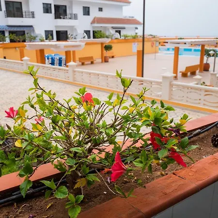 Lägenhet Seguro Spacious With Roomy Terrace Puerto de Santiago (Tenerife)