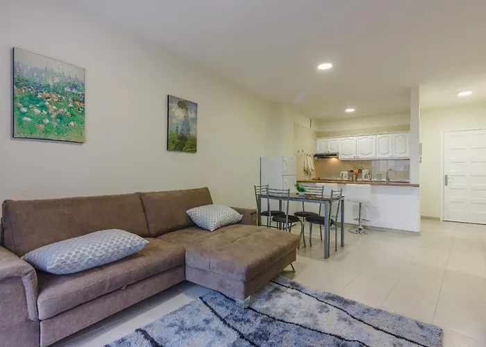 Seguro Spacious With Roomy Terrace 公寓 圣地亚哥港